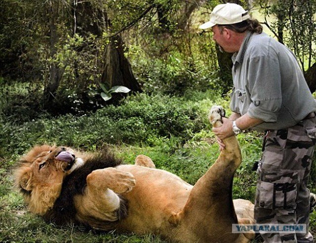 Как вам такая очередь?