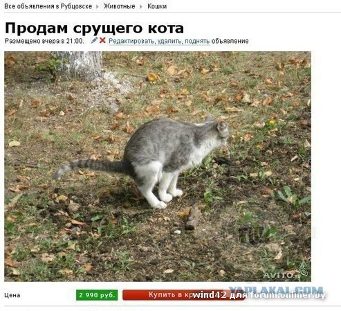 А вот моя домостройка