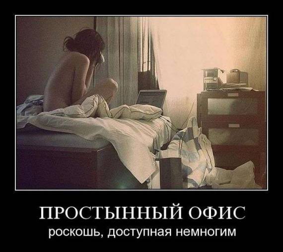Плюшкиным посвящается