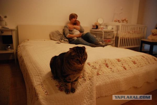 Депрессивный понедельник
