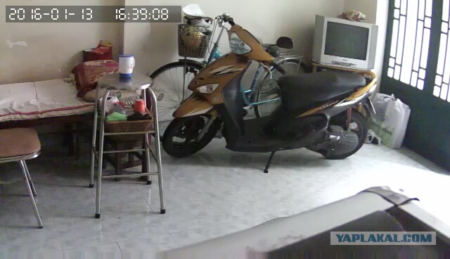 За что я люблю китайцев