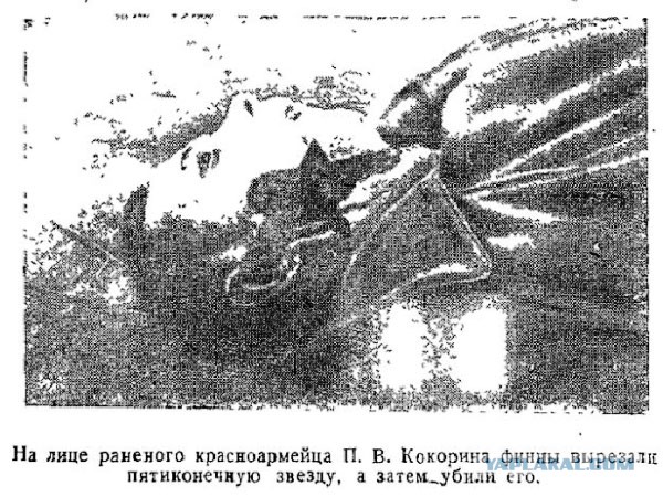 Финские листовки для советских солдат в Зимнюю войну