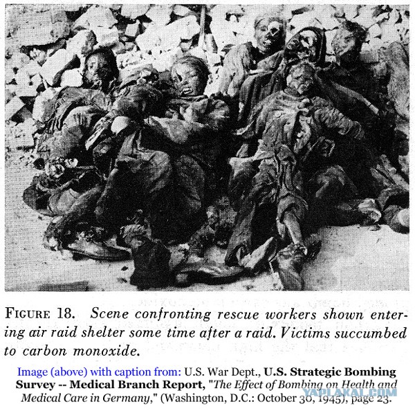 Немножечко про партнеров - французов