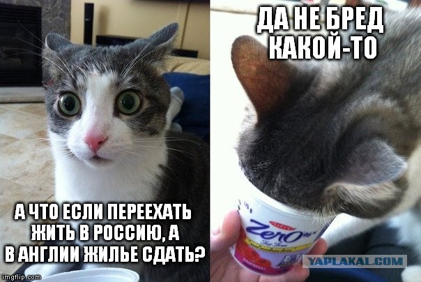 80% британцев готовы переехать в РФ, если им дадут бесплатно землю