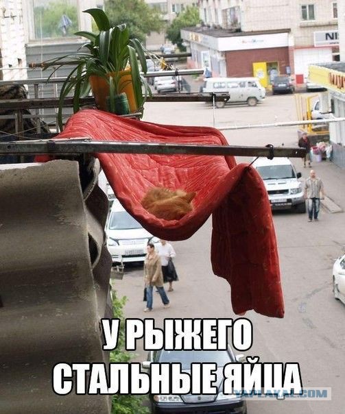 Разное картинки и т.д