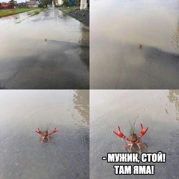 Картинки всяко-разные