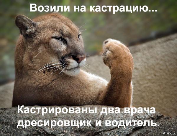 Отупляющие приколы