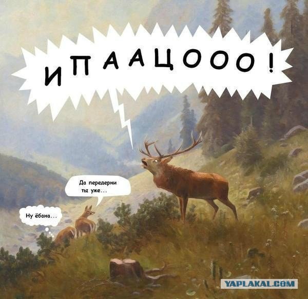 Эти разные, разные, разные животные...-1