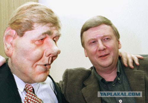 Наши загадочные соседи – вороны