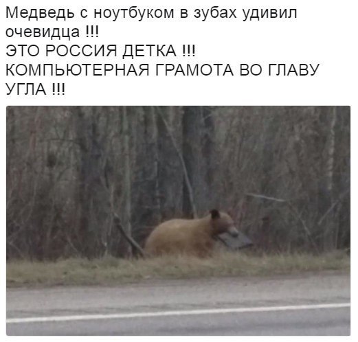 Подборка безудержного веселья