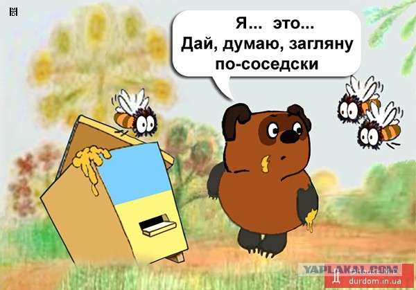 Гидгозатвор для комаров, концепция «Лето 2017»