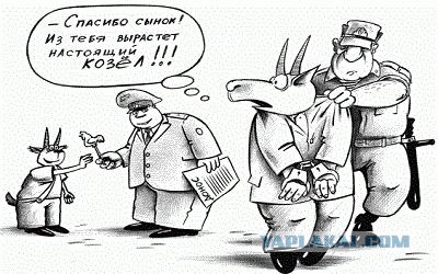 Перечислять 50% штрафа за административку на счёт сообщившему