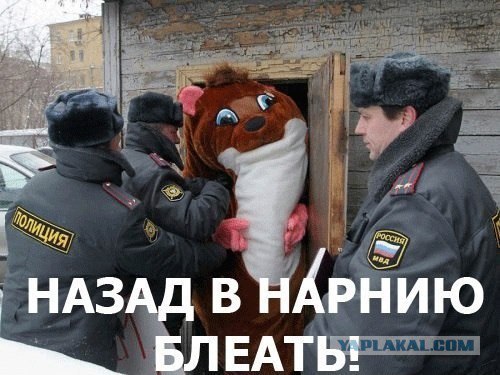 Этот безумный, безумный, безумный мир