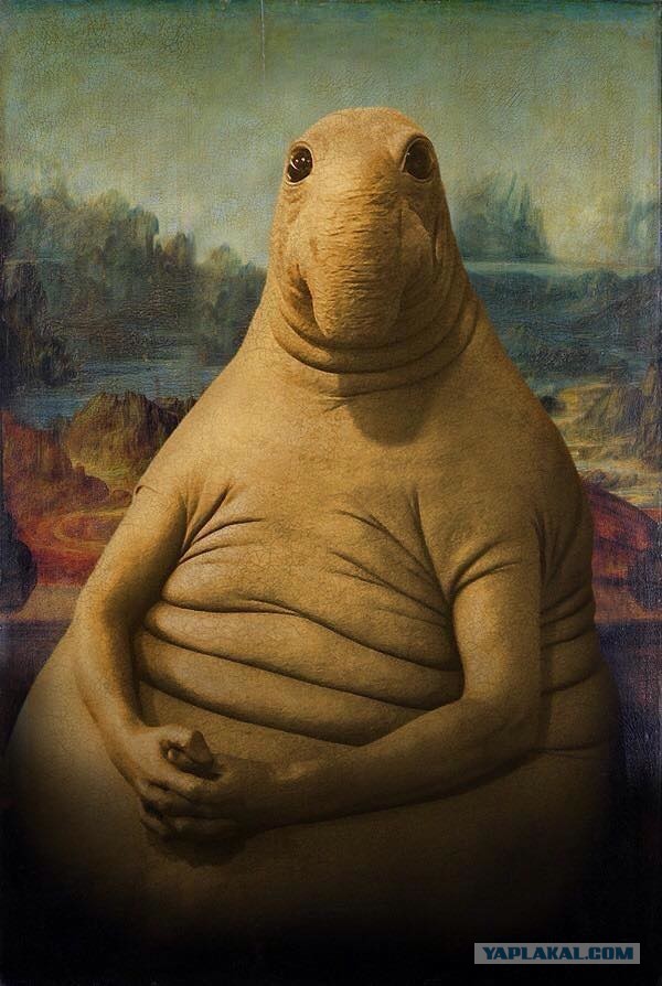 Схрон (первый том)