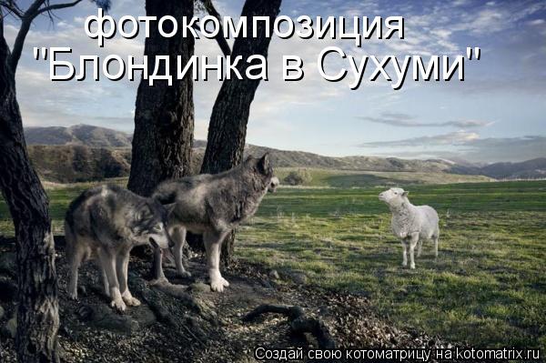 Почему бы не подеградировать, коллеги?