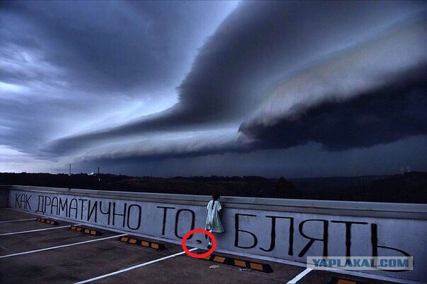 Жизнь удивительна. 30+