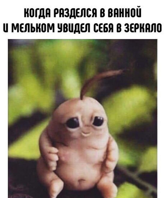 Временный пост. Всякое-разное