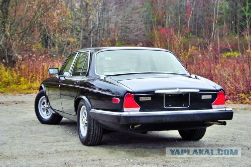 Британцы. Красивых автофото пост