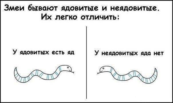 "День тишины" или пятница пришла