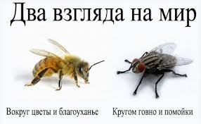 Варламов о Мурманске - это моё самое большое разочарование последнего времени