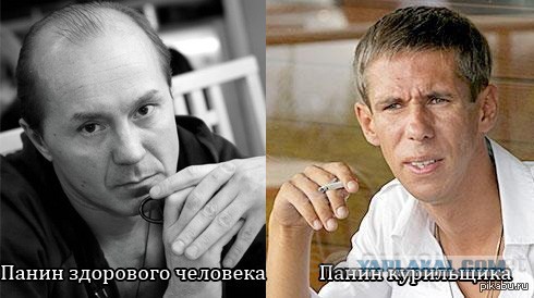 Актер Алексей Панин устроил дебош на борту самолета Симферополь – Москва