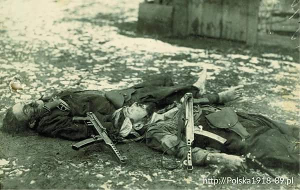 История в фотографиях