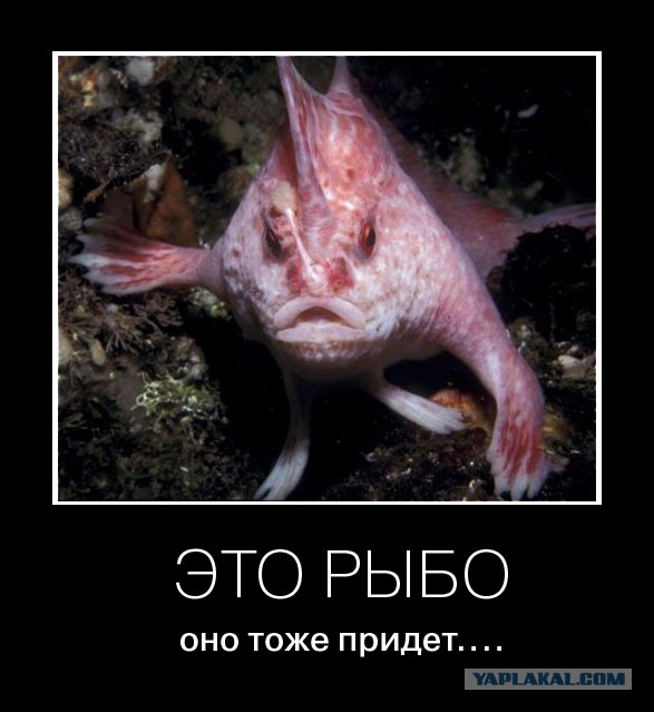 Ножками и ручками