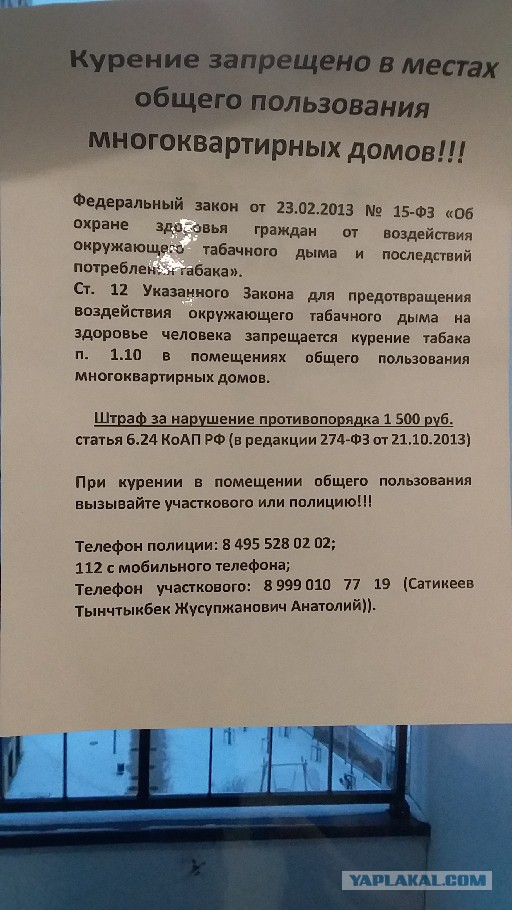 Московский участковый пытался обезвредить снаряд времён ВОВ топором
