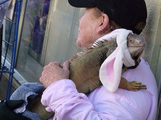 Милые животные. Мимиметр сломался