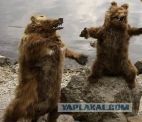 Зоопарк чучел