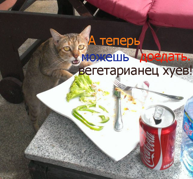 - Хозяин, сука, ты же обещал оставить...