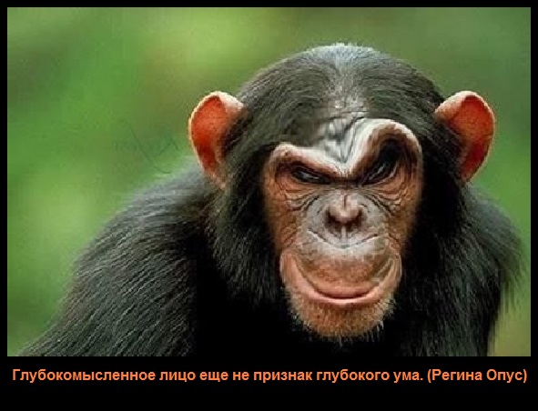 Какое-то животное избило козла на пляже из-за съеденных чипсов