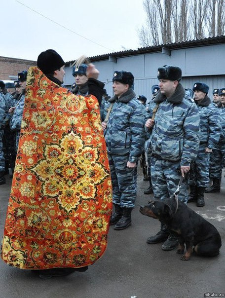Подборка интересных и веселых картинок 22.10.19