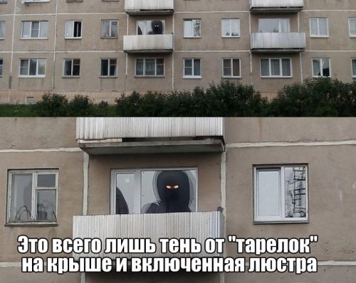 Чуток картинок 08.11.19