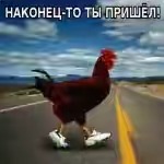 Юрий Шевчук о колоссальной разнице двух Россий - одной для элит, другой, для всех остальных