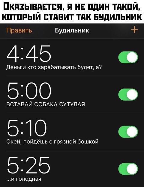 Бредзона 26.12.2019