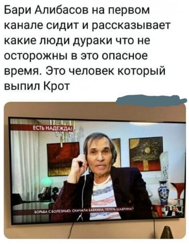 Дефект бруса