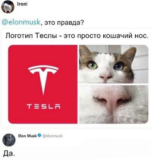 Немного картинок для настроения 22.04.20