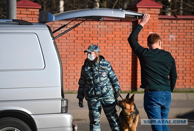 Полицейским разрешат вскрывать автомобили, а так же применять огнестрел при любой угрозе