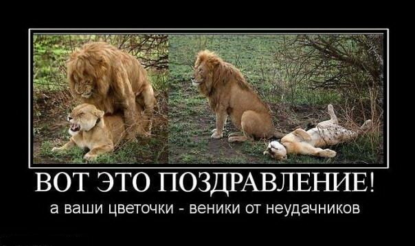 Так себе картинки #13