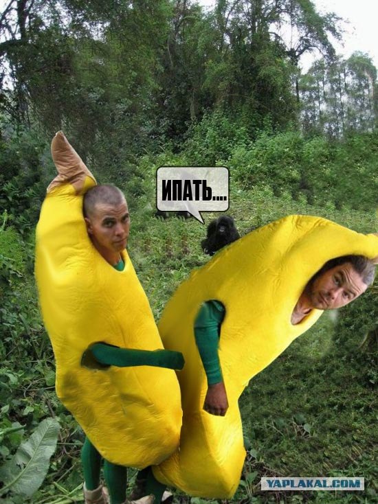 Друзья обезьян