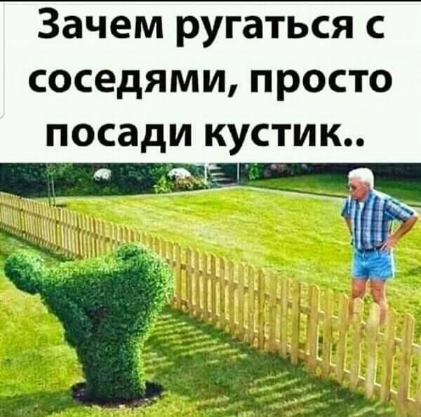 Немного картинок для настроения 20.08.20