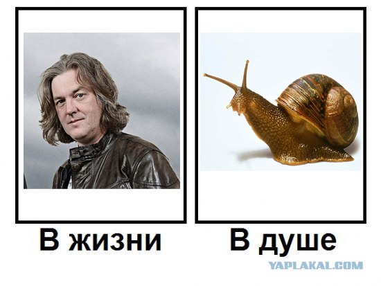 Кто есть кто?