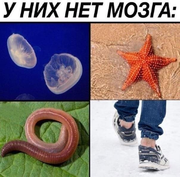 Понимаю: мода, молодёжь, но рукалицо!