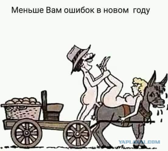 Фото из разряда "шо здесь происходит"?