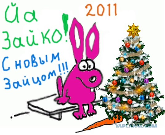 C Новым 2011 Годом!