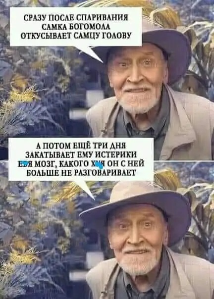 Картинки с надписями и всякие жизненные фразы 07.05.2021