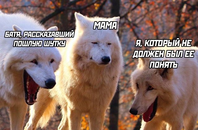 Йумористические картинки 12.08.2021