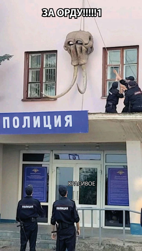 Так себе картинки 19.08.21