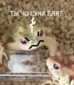 В большой семье хлебалом не щёлкают